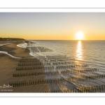 France, Pas-de-Calais (62), côte d'Opale, Grand site des deux caps, La plage de Tardinghen, ses bouchots pour la culture des moules, le cap Gris-nez en arrière plan au soleil couchant et l’épave du Lord Grey, ce chalutier britannique, long de 37 mètres, réquisitionné en 1915 par la Royal Navy et transformé en démineur, qui a sombré le 2 décembre 1917 lors d'une tempête  (Vue aérienne) // France, Pas-de-Calais (62), Opal Coast, Great site of the two capes, the beach of Tardinghen, its bouchots for the culture of mussels, the Cap Gris-nez in the background at sunset and the wreck of the Lord Grey, this British trawler, 37 meters long, requisitioned in 1915 by the Royal Navy and transformed into a mine-clearer, which sank on December 2, 1917 during a storm (aerial view)