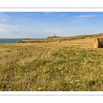 France, Pas-de-Calais (62), Côte d'Opale, Grand Site des deux caps, Cran-aux-Oeufs, Le sentier des Crans, La côte en direction du cap Gris-Nez  depuis le Cran-aux-Oeufs // France, Pas-de-Calais (62), Côte d'Opale, Grand Site des deux caps, Cran-aux-Oeufs, Le sentier des Crans, The coast towards Cap Gris-Nez from Cran-aux-Oeufs