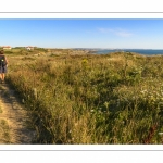 France, Pas-de-Calais (62), Côte d'Opale, Grand Site des deux caps, Cran-aux-Oeufs, Le sentier des Crans, La côte en direction du cap Gris-Nez  depuis le Cran-aux-Oeufs // France, Pas-de-Calais (62), Côte d'Opale, Grand Site des deux caps, Cran-aux-Oeufs, Le sentier des Crans, The coast towards Cap Gris-Nez from Cran-aux-Oeufs