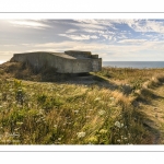 Le sentier des Crans, La côte en direction du cap Gris-Nez