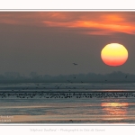 Promeneurs_Crepuscule_Le_Crotoy_03_12_2016_013-border