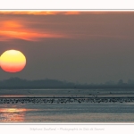 Promeneurs_Crepuscule_Le_Crotoy_03_12_2016_014-border