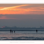 Promeneurs_Crepuscule_Le_Crotoy_03_12_2016_024-border