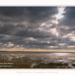 Les mollières innondées par les grandes marées en baie de Somme. - Saison : Hiver - Lieu : Le Crotoy, Baie de Somme, Somme, Picardie, Hauts-de-France, France. 
Salty meadows flooded by high tides in the Bay of Somme. - Season: Winter - Location: Le Crotoy, Somme Bay, Somme, Picardy, Hauts-de-France, France.