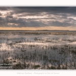 Les mollières innondées par les grandes marées en baie de Somme. - Saison : Hiver - Lieu : Le Crotoy, Baie de Somme, Somme, Picardie, Hauts-de-France, France. Salty meadows flooded by high tides in the Bay of Somme. - Season: Winter - Location: Le Crotoy, Somme Bay, Somme, Picardy, Hauts-de-France, France.