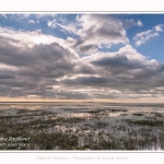 Les mollières innondées par les grandes marées en baie de Somme. - Saison : Hiver - Lieu : Le Crotoy, Baie de Somme, Somme, Picardie, Hauts-de-France, France. 
Salty meadows flooded by high tides in the Bay of Somme. - Season: Winter - Location: Le Crotoy, Somme Bay, Somme, Picardy, Hauts-de-France, France.