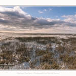 Les mollières innondées par les grandes marées en baie de Somme. - Saison : Hiver - Lieu : Le Crotoy, Baie de Somme, Somme, Picardie, Hauts-de-France, France. Salty meadows flooded by high tides in the Bay of Somme. - Season: Winter - Location: Le Crotoy, Somme Bay, Somme, Picardy, Hauts-de-France, France.