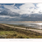 Une après-midi de Février, alors que les promeneurs viennent profiter du soleil sur la plage du Crotoy en baie de Somme. Saison : Hiver - Lieu : Le Crotoy, Baie de Somme, Somme, Picardie, Hauts-de-France, France. One afternoon in February, while walkers come to enjoy the sun on the beach of Crotoy in the Bay of Somme. Season: Winter - Location: Le Crotoy, Somme Bay, Somme, Picardie, Hauts-de-France, France.