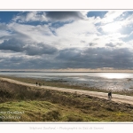 Une après-midi de Février, alors que les promeneurs viennent profiter du soleil sur la plage du Crotoy en baie de Somme. Saison : Hiver - Lieu : Le Crotoy, Baie de Somme, Somme, Picardie, Hauts-de-France, France. One afternoon in February, while walkers come to enjoy the sun on the beach of Crotoy in the Bay of Somme. Season: Winter - Location: Le Crotoy, Somme Bay, Somme, Picardie, Hauts-de-France, France.