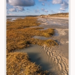 Une après-midi de Février, alors que les promeneurs viennent profiter du soleil sur la plage du Crotoy en baie de Somme. Saison : Hiver - Lieu : Le Crotoy, Baie de Somme, Somme, Picardie, Hauts-de-France, France. One afternoon in February, while walkers come to enjoy the sun on the beach of Crotoy in the Bay of Somme. Season: Winter - Location: Le Crotoy, Somme Bay, Somme, Picardie, Hauts-de-France, France.