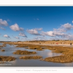 Une après-midi de Février, alors que les promeneurs viennent profiter du soleil sur la plage du Crotoy en baie de Somme. Saison : Hiver - Lieu : Le Crotoy, Baie de Somme, Somme, Picardie, Hauts-de-France, France. One afternoon in February, while walkers come to enjoy the sun on the beach of Crotoy in the Bay of Somme. Season: Winter - Location: Le Crotoy, Somme Bay, Somme, Picardie, Hauts-de-France, France.