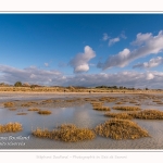 Une après-midi de Février, alors que les promeneurs viennent profiter du soleil sur la plage du Crotoy en baie de Somme. Saison : Hiver - Lieu : Le Crotoy, Baie de Somme, Somme, Picardie, Hauts-de-France, France. One afternoon in February, while walkers come to enjoy the sun on the beach of Crotoy in the Bay of Somme. Season: Winter - Location: Le Crotoy, Somme Bay, Somme, Picardie, Hauts-de-France, France.