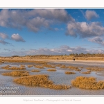 Une après-midi de Février, alors que les promeneurs viennent profiter du soleil sur la plage du Crotoy en baie de Somme. Saison : Hiver - Lieu : Le Crotoy, Baie de Somme, Somme, Picardie, Hauts-de-France, France. One afternoon in February, while walkers come to enjoy the sun on the beach of Crotoy in the Bay of Somme. Season: Winter - Location: Le Crotoy, Somme Bay, Somme, Picardie, Hauts-de-France, France.