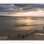 Crépuscule sur la plage du Crotoy et coucher de soleil - Saison : Hiver - Lieu : Le Crotoy, Baie de Somme, Somme, Picardie, Hauts-de-France, France. Twilight on Crotoy beach and sunset - Season: Winter - Location: Le Crotoy, Somme Bay, Somme, Picardie, Hauts-de-France, France.