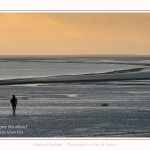 Crépuscule sur la plage du Crotoy et coucher de soleil - Saison : Hiver - Lieu : Le Crotoy, Baie de Somme, Somme, Picardie, Hauts-de-France, France. Twilight on Crotoy beach and sunset - Season: Winter - Location: Le Crotoy, Somme Bay, Somme, Picardie, Hauts-de-France, France.