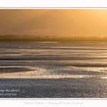 Rassemblement d'oiseaux (Huitriers-pies, Courlis, Tadornes de Belon et bécasseaux) face au Crotoy au crépuscule - Saison : Hiver - Lieu : Le Crotoy, Baie de Somme, Somme, Picardie, Hauts-de-France, France. Gathering of birds (hawksbills, curlews, shelducks and sandpipers) in front of Le Crotoy at twilight - Season: Winter - Location: Le Crotoy, Somme Bay, Somme, Picardie, Hauts-de-France, France.