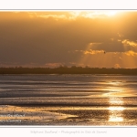 Crépuscule sur la plage du Crotoy et coucher de soleil - Saison : Hiver - Lieu : Le Crotoy, Baie de Somme, Somme, Picardie, Hauts-de-France, France. Twilight on Crotoy beach and sunset - Season: Winter - Location: Le Crotoy, Somme Bay, Somme, Picardie, Hauts-de-France, France.