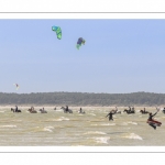 Affluence de Kitesurf au Crotoy