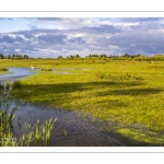 Le marais du Crotoy sous un ciel chargé
