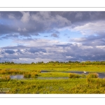 Le marais du Crotoy sous un ciel chargé