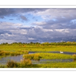 Le marais du Crotoy sous un ciel chargé