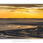 saison : Ã©tÃ© - Lieu :  Le Crotoy, Baie de Somme, RÃ©serve naturelle, Somme, Picardie, France