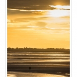 saison : Ã©tÃ© - Lieu :  Le Crotoy, Baie de Somme, RÃ©serve naturelle, Somme, Picardie, France