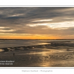 saison : Ã©tÃ© - Lieu :  Le Crotoy, Baie de Somme, RÃ©serve naturelle, Somme, Picardie, France