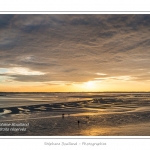 saison : Ã©tÃ© - Lieu :  Le Crotoy, Baie de Somme, RÃ©serve naturelle, Somme, Picardie, France