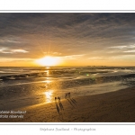 saison : Ã©tÃ© - Lieu :  Le Crotoy, Baie de Somme, RÃ©serve naturelle, Somme, Picardie, France