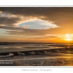 saison : Ã©tÃ© - Lieu :  Le Crotoy, Baie de Somme, RÃ©serve naturelle, Somme, Picardie, France