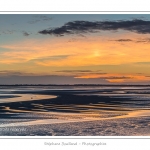 saison : Ã©tÃ© - Lieu :  Le Crotoy, Baie de Somme, RÃ©serve naturelle, Somme, Picardie, France