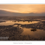 Saison : hiver - Lieu : Le Crotoy, Baie de Somme, Somme, Picardie, France.