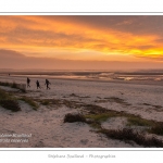 Saison : hiver - Lieu : Le Crotoy, Baie de Somme, Somme, Picardie, France.