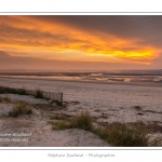 Saison : hiver - Lieu : Le Crotoy, Baie de Somme, Somme, Picardie, France.