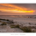 Saison : hiver - Lieu : Le Crotoy, Baie de Somme, Somme, Picardie, France.