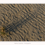 LeCrotoy_18_10_2014_0004-border