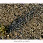 LeCrotoy_18_10_2014_0006-border