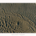 LeCrotoy_18_10_2014_0007-border