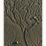 LeCrotoy_18_10_2014_0008-border