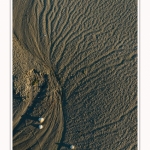 LeCrotoy_18_10_2014_0009-border
