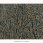 LeCrotoy_18_10_2014_0010-border