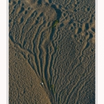 LeCrotoy_18_10_2014_0011-border