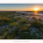 LeCrotoy_18_10_2014_0014-border