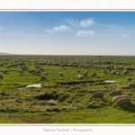 LeCrotoy_18_10_2014_0015-border