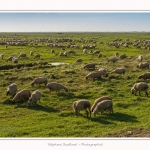LeCrotoy_18_10_2014_0016-border