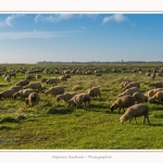 LeCrotoy_18_10_2014_0018-border