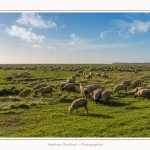 LeCrotoy_18_10_2014_0019-border