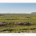 LeCrotoy_18_10_2014_0022-border