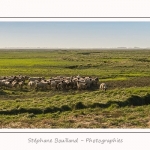 LeCrotoy_18_10_2014_0023-border